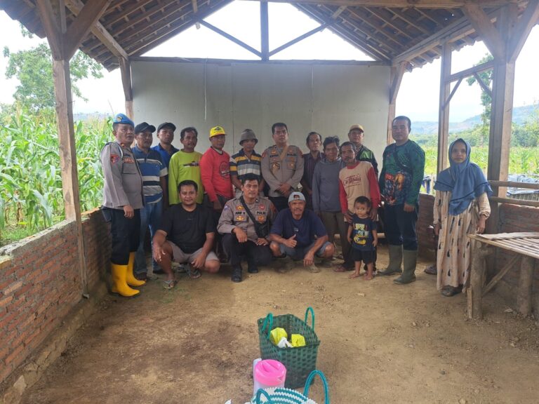 wmremove-transformed22-4