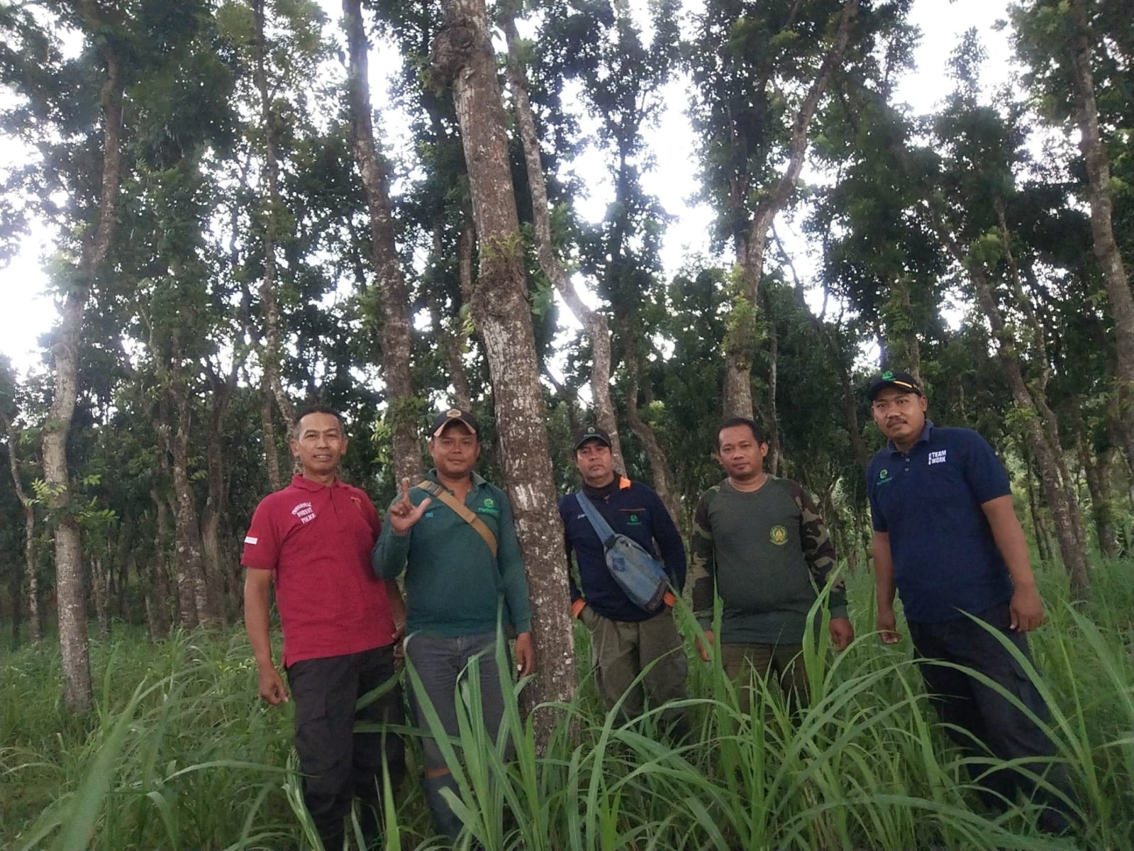 wmremove-transformed39-2